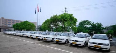 枣庄1月驾校培训质量排名出炉，速培学车实力如何？